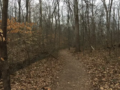 Ellanor C. Lawrence Park, Centreville